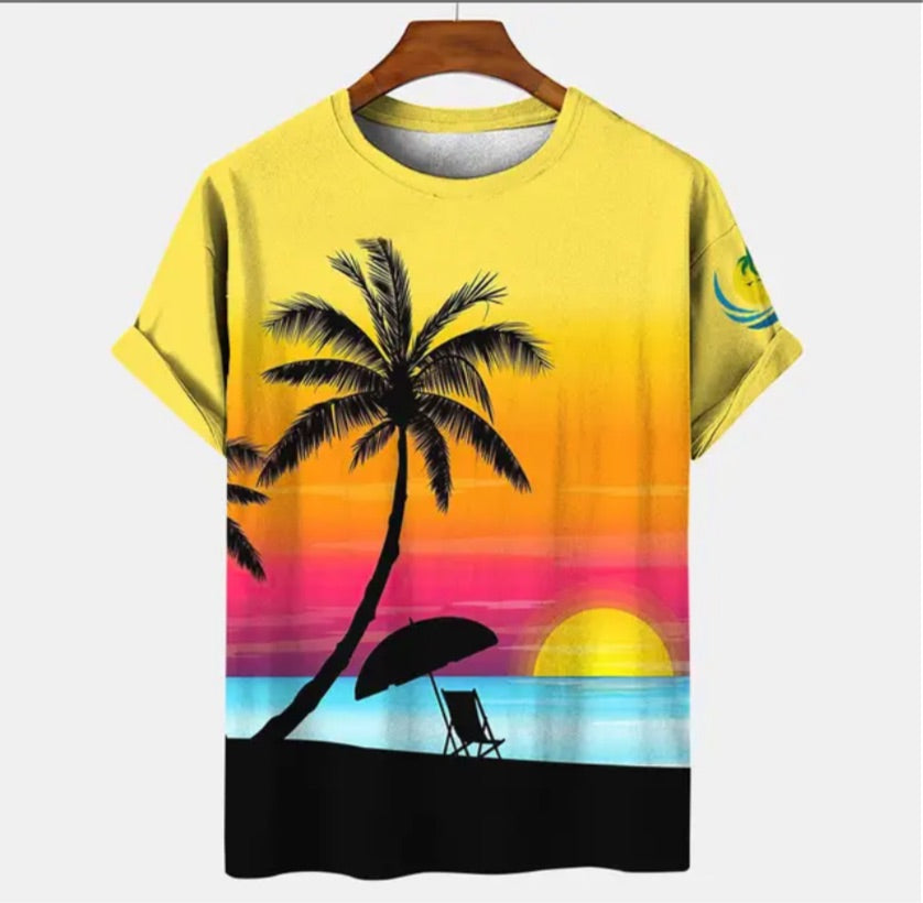 Men’s summer/ spring T-shirt