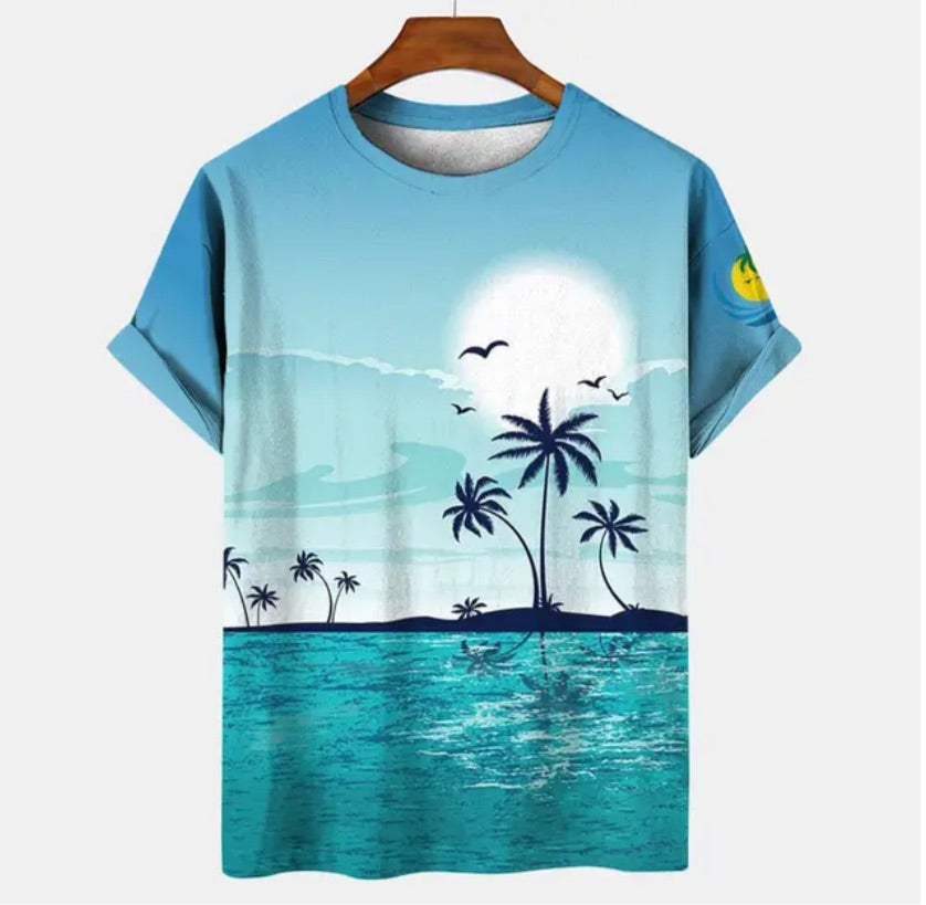 Men’s summer/ spring T-shirt